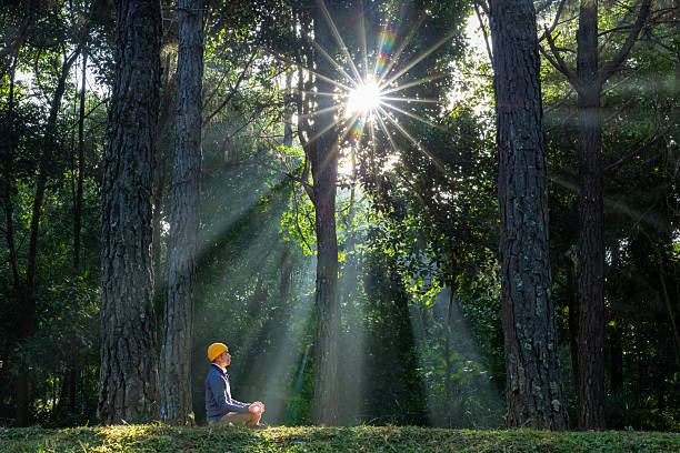 istock Man relaxingly practicing meditation in the pine forest to attain happiness from inner peace wisdom with beam of sun light for healthy mind and soul for healthy manifestation usage 2190221012