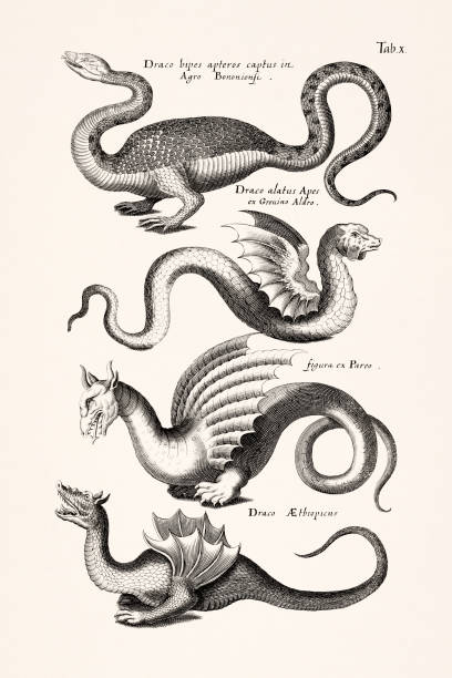 Antique illustration of fantastic animals and mythical creatures by Joannes Jonstonus. 17th-century engraving perfect for collectors and enthusiasts.