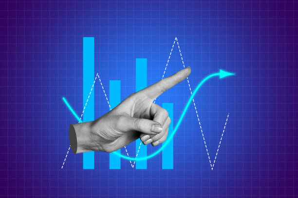 Creative photo poster trend art collage image of hand point chart development graph statistics promotion career growth success.