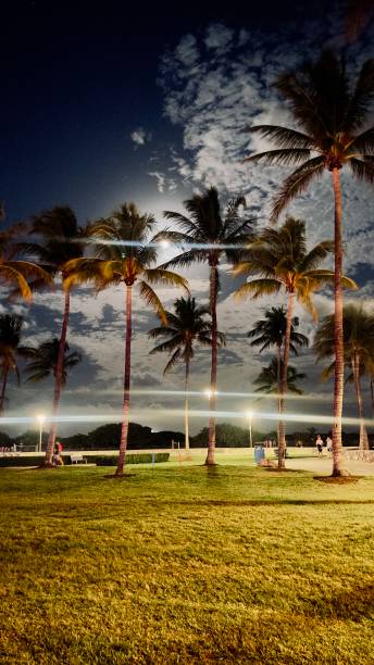 istock Miami south beach November 2024 2190229008
