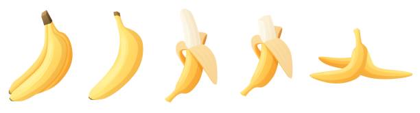 istock Banana eating. Full cutting bananas step by step eat process. Snack eat time, healthy diet carb dessert. Exotic tropical organic fruit, nowaday vector set 2190232066