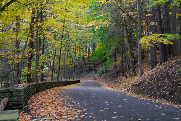 Quiet Road Winding through the Forest in Autumn in Upstate New York