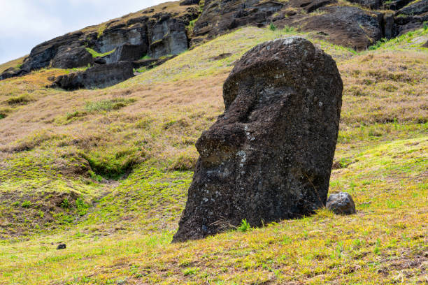 Some of the iconic Moai statues of Easter Island, half buried in the soil near the quarry at the extinct volcano of Rano Raraku. This quarry is known as the birthplace of the Moai and the Moai seen here had begun their journey to their respective Ahu (stone platforms) but for some reason never made it any further.The Moai were constructed around five or six hundred years ago and represent the islanders' ancestors. They were all toppled after a period of tribal warfare broke out, though a number were restored in the twentieth century.