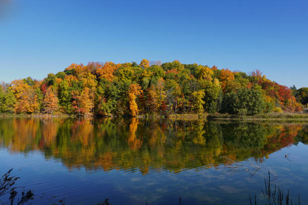 istock Fall Color Reflecting in Beebe Lake in Ithaca, New York 2190238969