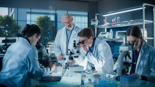 istock Young Team of Science Researchers Sitting Behind a Table, Using Microscopes for Medical Pharmaceutical Research and Treatment Development. Senior Scientist Supervising the Project 2190240002