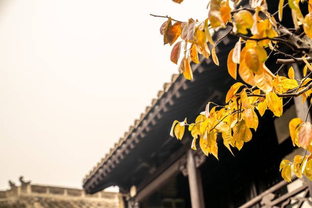 An ancient Chinese official's residence
