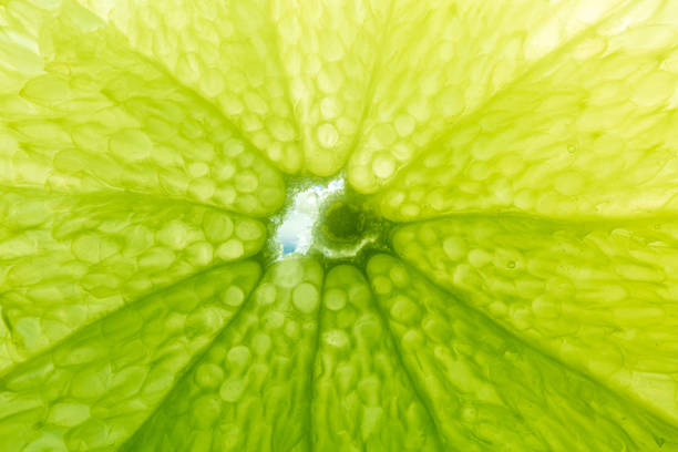 Close-up macro lemon texture,texture of lime fruit background close-up macro. Fruit in water under water