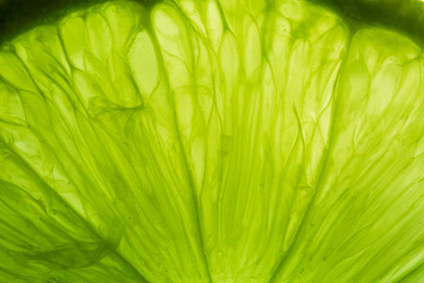 Close-up macro lemon texture,texture of lime fruit background close-up macro. Fruit in water under water