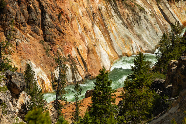 Grand Canyon of the Yellowstone