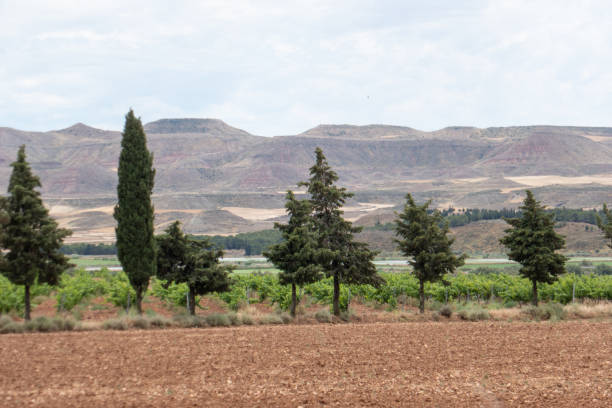The Bardenas is in the southeast of Navarra, bordering Aragon. It's semi-desert natural region, the soil are made of clay, chalk and sandstone