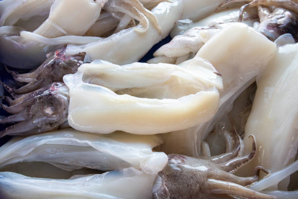 istock Fresh squid on ice trays at the fresh seafood market 2190253276