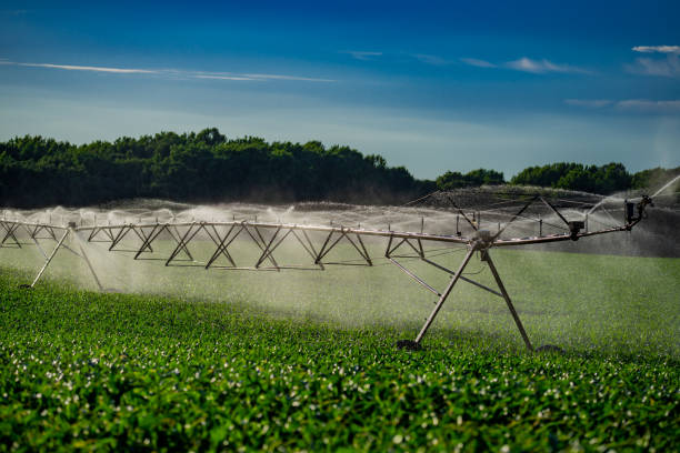 istock Irrigation equipment. Irrigation system for American farm. Sprinklers watering system. Irrigation system for farm land. Lawn sprinkler watering field. Aerial photo of irrigation used to water plants. 2190255443