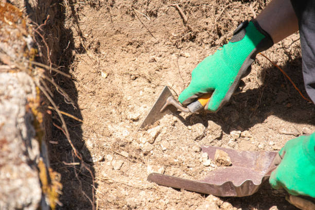 istock An archaeologist digs away the soil at a dig site using a small trowel for the job. 2190256724