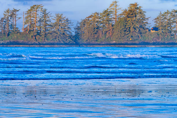 Shoreline of Pacific Rim National Park on Vancouver Island, British Columbia