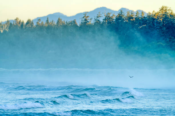 Shoreline of Pacific Rim National Park on Vancouver Island, British Columbia