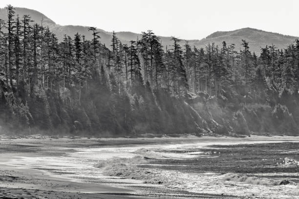 Shoreline of Pacific Rim National Park on Vancouver Island, British Columbia