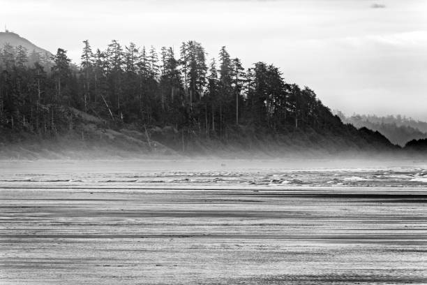 istock Vancouver Island British Columbia 2190262780