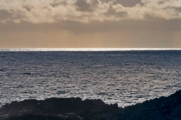 Shoreline of Pacific Rim National Park on Vancouver Island, British Columbia