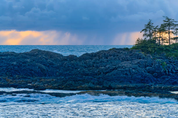 Shoreline of Pacific Rim National Park on Vancouver Island, British Columbia