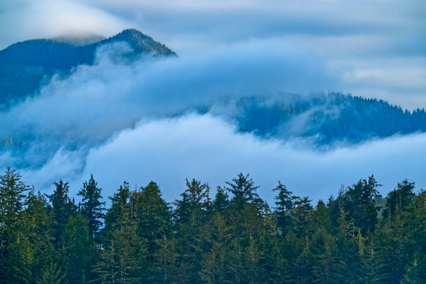 Shoreline of Pacific Rim National Park on Vancouver Island, British Columbia