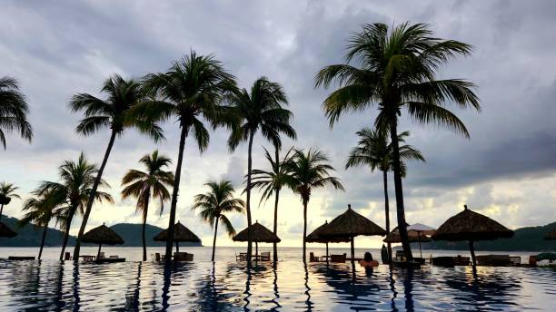 A tranquil beach setting features tall palm trees surrounding thatched umbrellas. The sun sets in the background, creating a peaceful atmosphere over still waters.