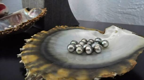 istock Tahitian Black Pearls on Natural Oyster Shell Display 2190268419