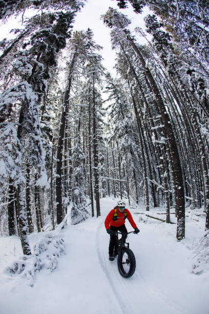 istock Canmore Nordic Centre Winter Fat Bike Ride 2190268894