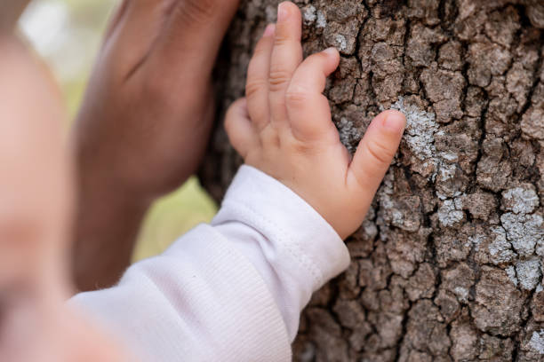 istock Baby Reaching for Tree Trunk with Caregiver's Support outdoors in Nature 2190269000