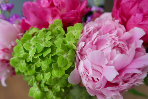 istock vibrant floral arrangement featuring a fresh green hydrangea, delicate pink peony 2190270398