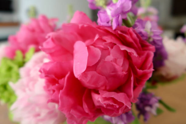 istock vibrant floral display featuring bold magenta peonies, soft pink blooms, green hydrangeas, and purple accents 2190270550