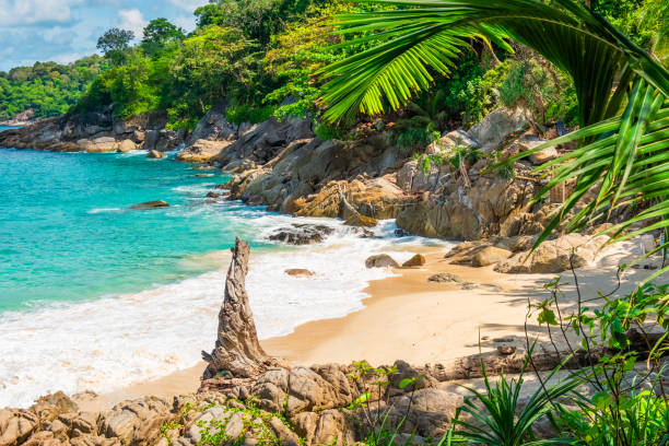 istock Tropical beach with turquoise waters, sandy shore, palm trees, rocks and green foliage under a bright blue sky with nobody. Freedom beach in Phuket island, Thailand. Summer travel destination in Asia 2190271098