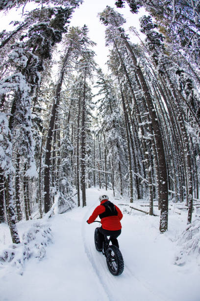 istock Winter Fat Bike Ride Canada 2190271530