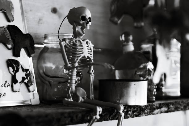 A bony figure sits atop a shelf, surrounded by glass containers.