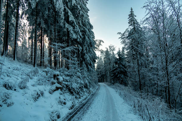 Winter hike through the Thuringian Forest near Oberhof at blue hour - Thuringia - Germany