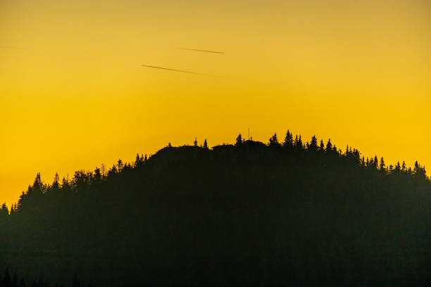 Winter hike through the Thuringian Forest near Oberhof at blue hour - Thuringia - Germany