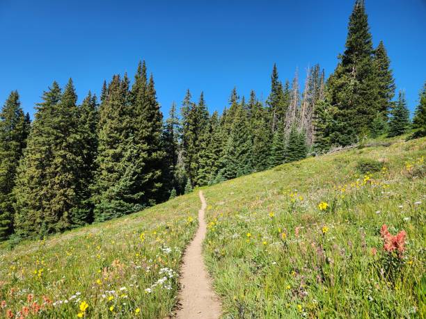 istock Rocky Mountain National Park Hiking Trail 2190278348