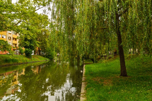Channel and park in the centre of Bekescsaba