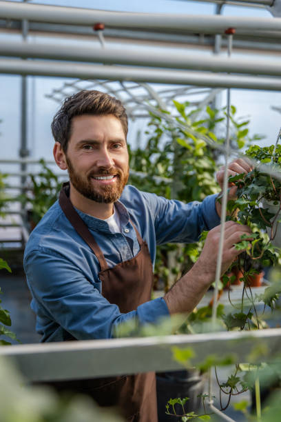 istock Male bearded greenhouse worker looking involved and busy 2190284287