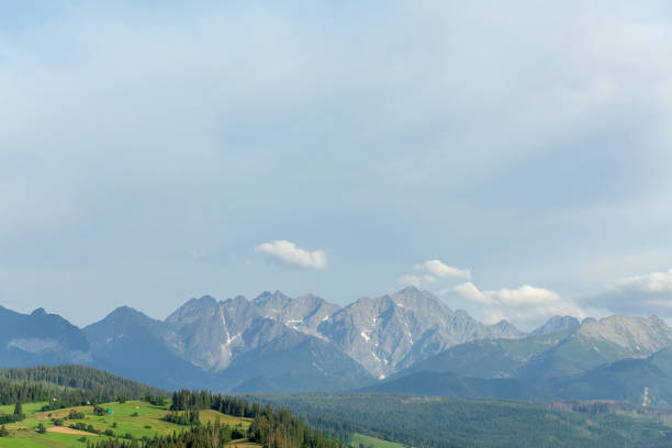 Beautiful mountain range with green forest and meadow in the foreground, panoramic view of rocky peaks under clear blue sky with few clouds, peaceful nature landscape, travel destination, outdoors adv