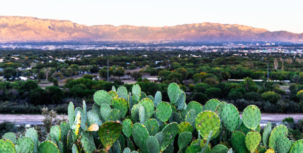 The Sandia Mountains are a mountain range located in New Mexico, USA. It is part of the Sandia–Manzano Mountains.