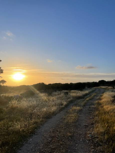 istock Sunlit Dirt Path Through Golden Grass at Sunset in Cyprus 2190292367