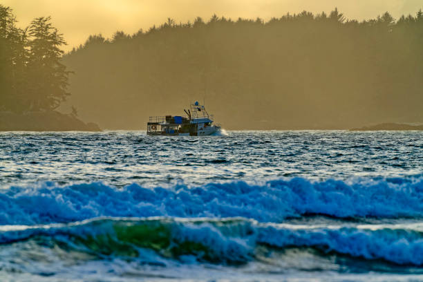 Fishing boat off Pacific Rim National Park on Vancouver Island, British Columbia