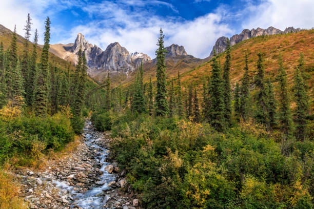 istock Arctic Tundra Fall Color below Snowden Mountain 2190296999