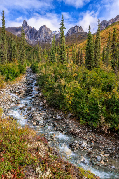 Snowden Mountain and Tumbling Creek