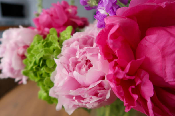vibrant floral arrangement featuring a bold magenta peony, soft pink blossoms, green hydrangeas, and purple accents