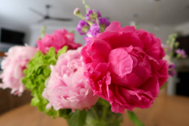istock bright floral arrangement featuring a striking magenta peony, soft pink blooms, green hydrangeas 2190297185