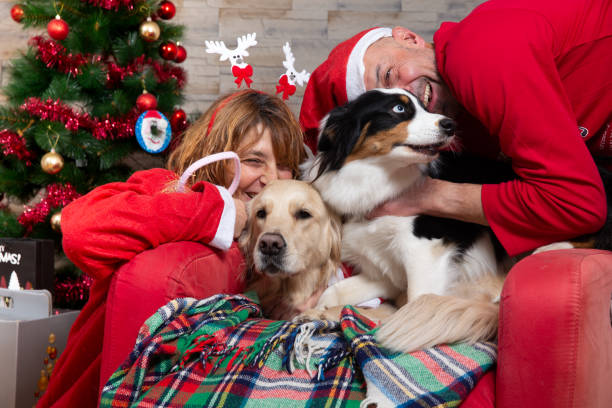 istock Couple sharing the Christmas joy with their pets 2190297246
