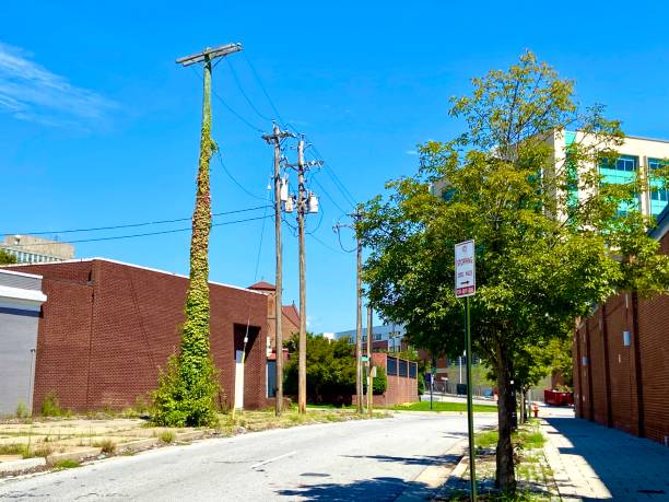 Townhomes in Reservoir Hill, Baltimore. Maryland.