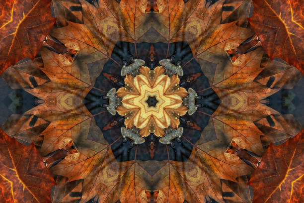 istock Intricate details revealed in the kaleidoscopic patterns of two different colored maple leaves submerged in water on a lake shore 2190305972