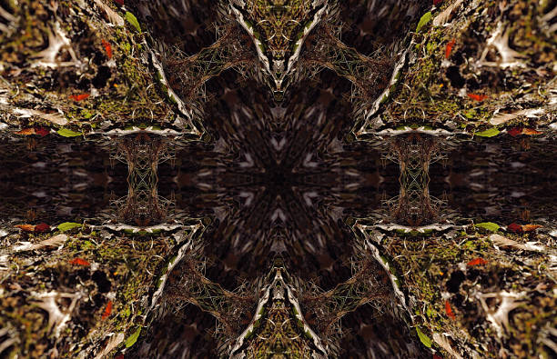 istock Kaleidoscopic patterns in fall foliage and ground floor of a German forest - Variant II 2190305988